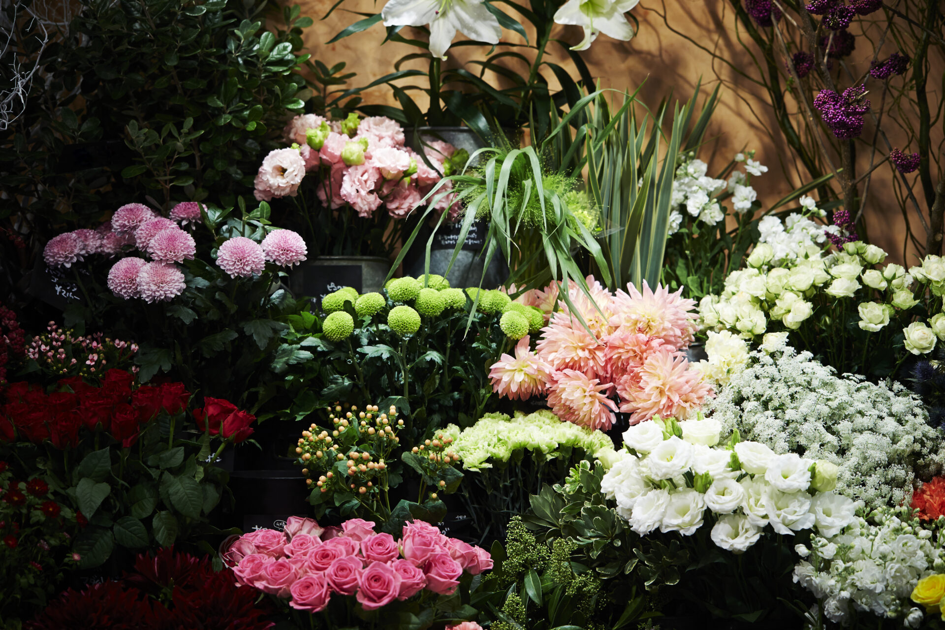 Bloemen Reynaert bloemen en planten